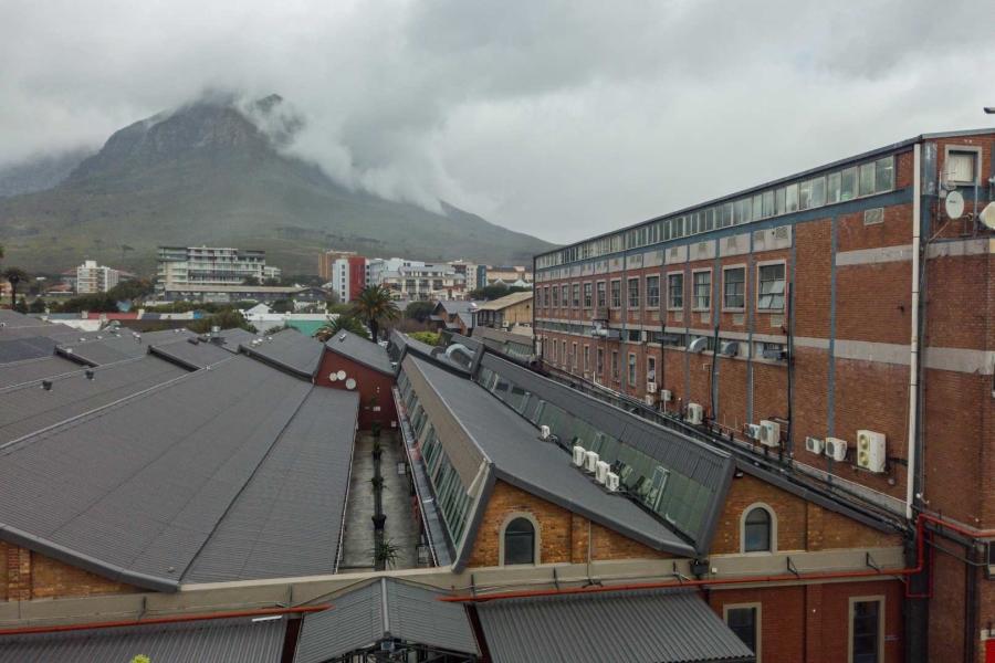 Commercial Property for Sale in Observatory Western Cape
